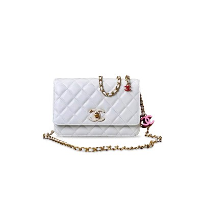 CHANEL WALLET ON SHINY LAMBSKIN AP3938 (19.5*12*5.5cm)